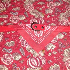 Lil'Buddies Pet Collar With Red  Bandana.